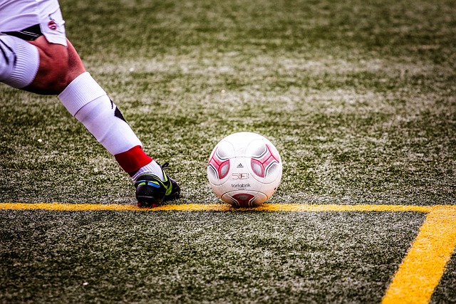 辅导相结合 辅导相结合